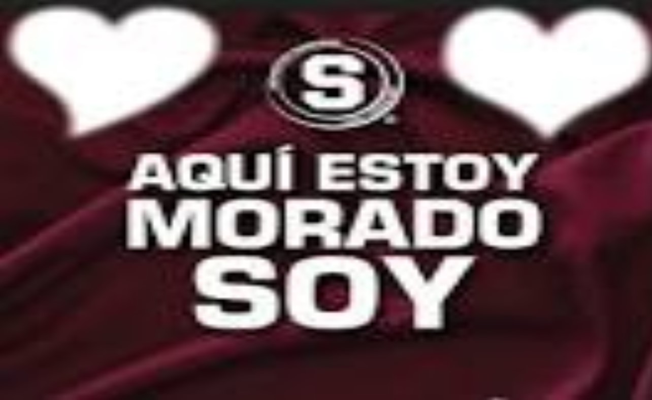 Morado Soy
